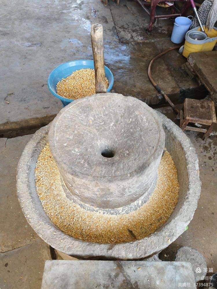 Hamo (the correct way to soak in water with Hamo bark grass)